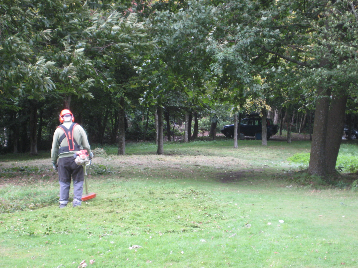 13 september - The Lone Strimmer